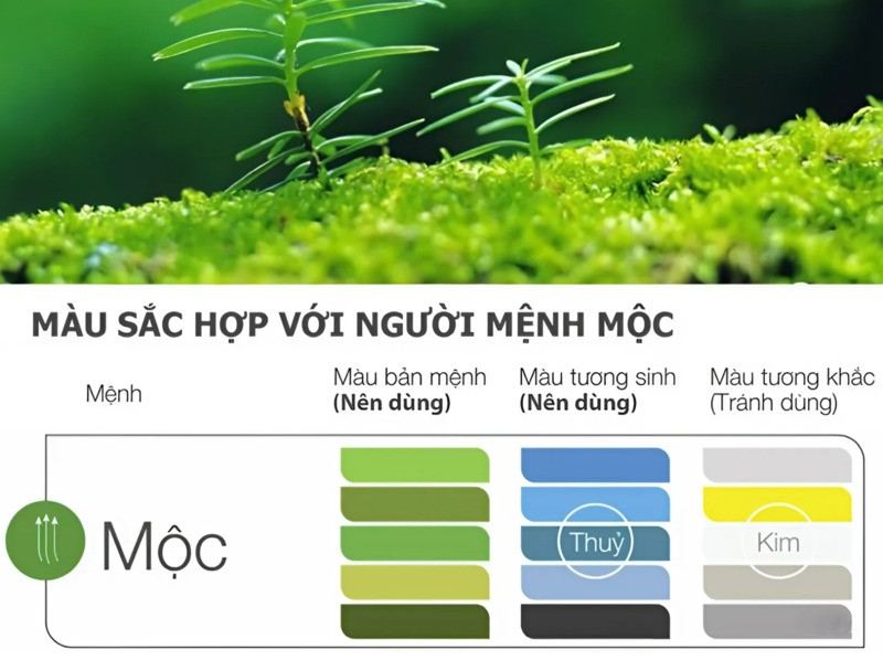 màu hợp với mệnh mộc