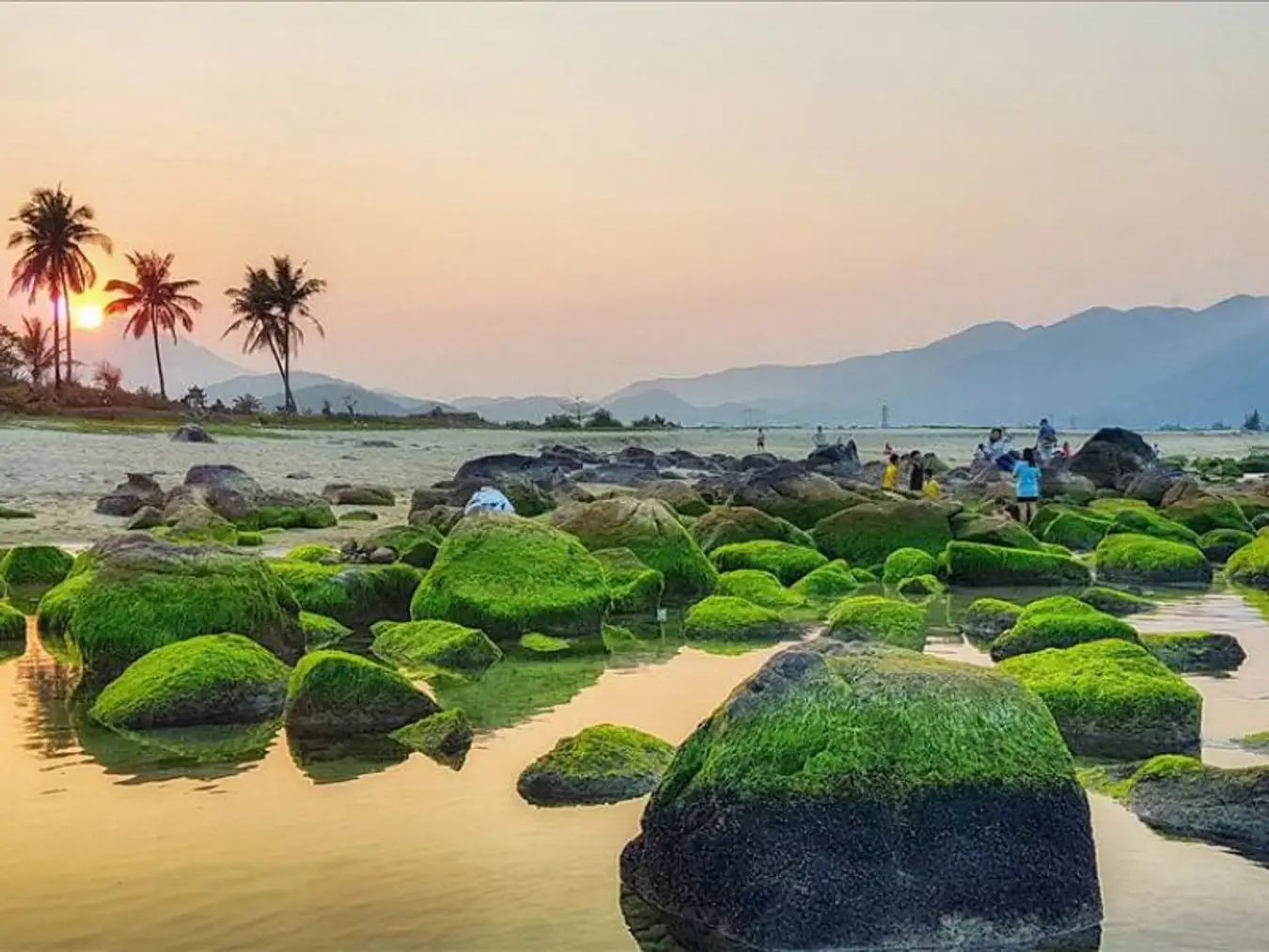 địa điểm du lịch sinh thái ở việt nam