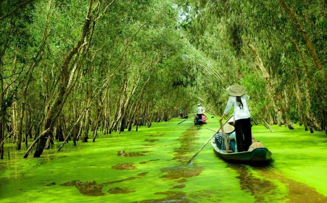 những điểm du lịch đáng đi ở việt nam