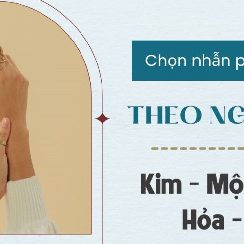 Cách Chọn Nhẫn Phong Thủy Phù Hợp Với Mỗi Người Chuẩn Nhất