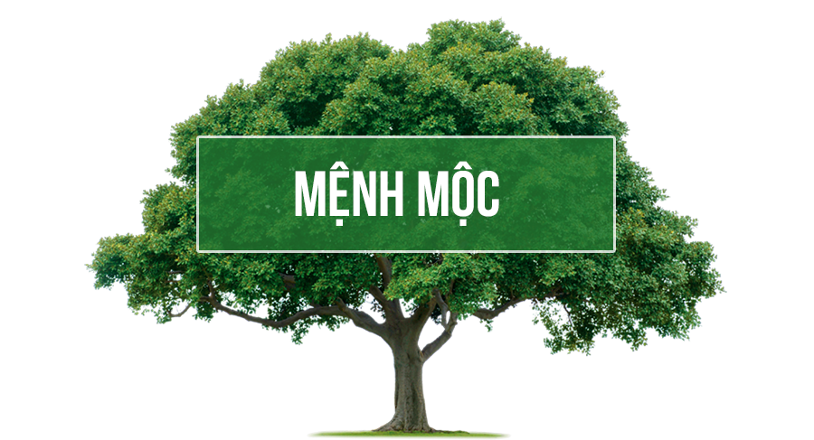 mệnh mộc hợp với màu nào