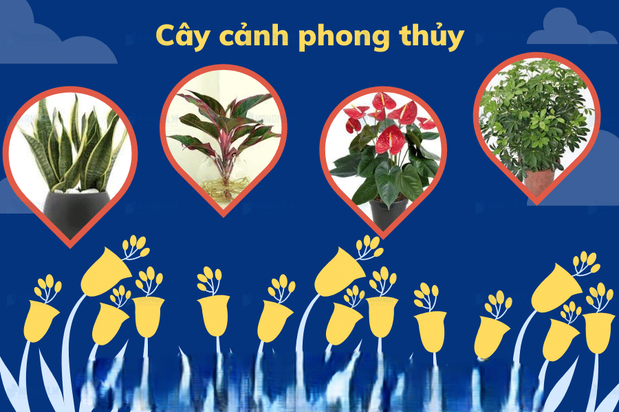 cay phong thuy de trong nha