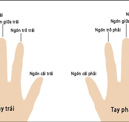 Vị Trí Đeo Nhẫn Phong Thủy Trên Các Ngón Tay Và Ý Nghĩa