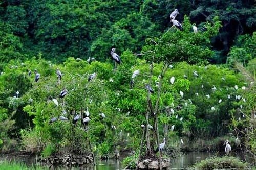 những địa điểm du lịch nổi tiếng ở việt nam