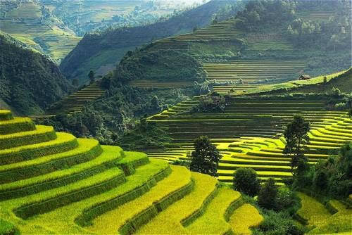 Top Hình Ảnh Địa Danh Việt Nam Đẹp Như Tranh Vẽ Nên Đến