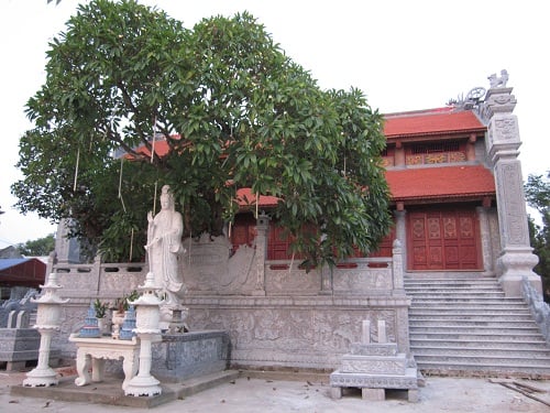 tuong quan am chua phu lien