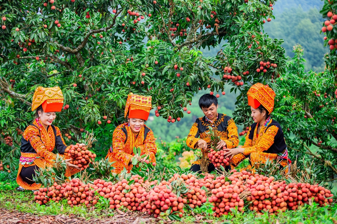 vai thieu bac giang