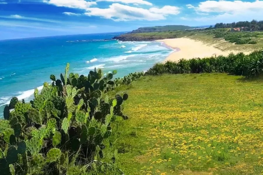 diem du lich bai xep phu yen