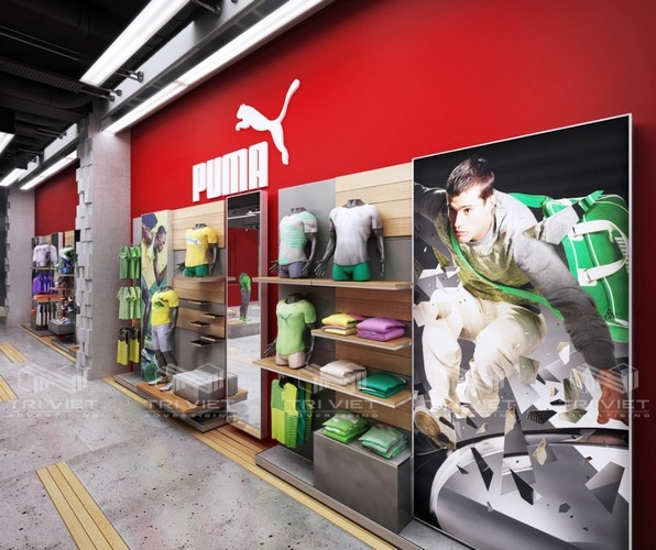 Thi công nội thất showroom độc đáo
