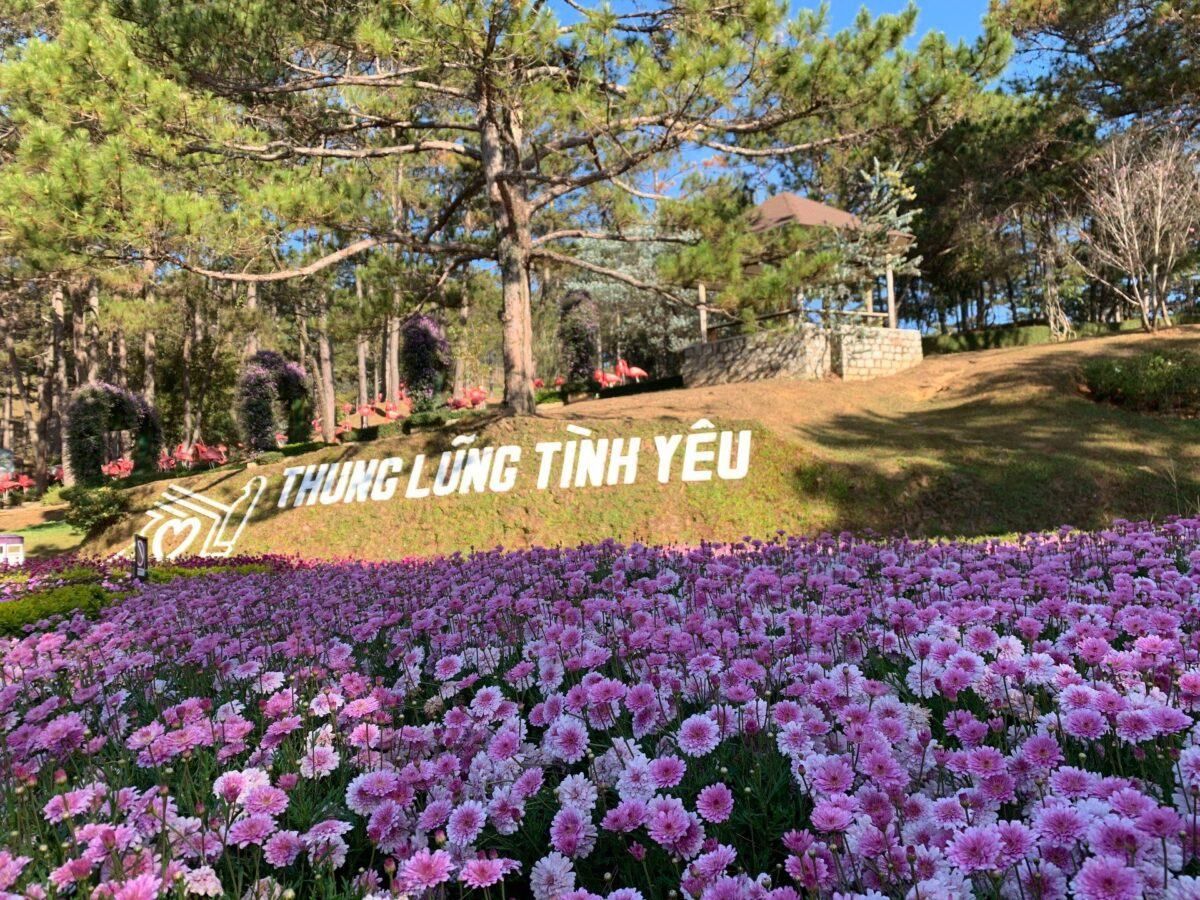 thung lung tinh yeu da lat
