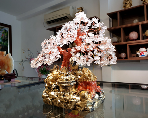 cay tai loc