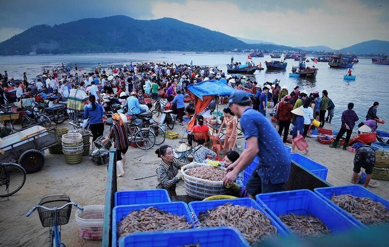 cho hai san da nang