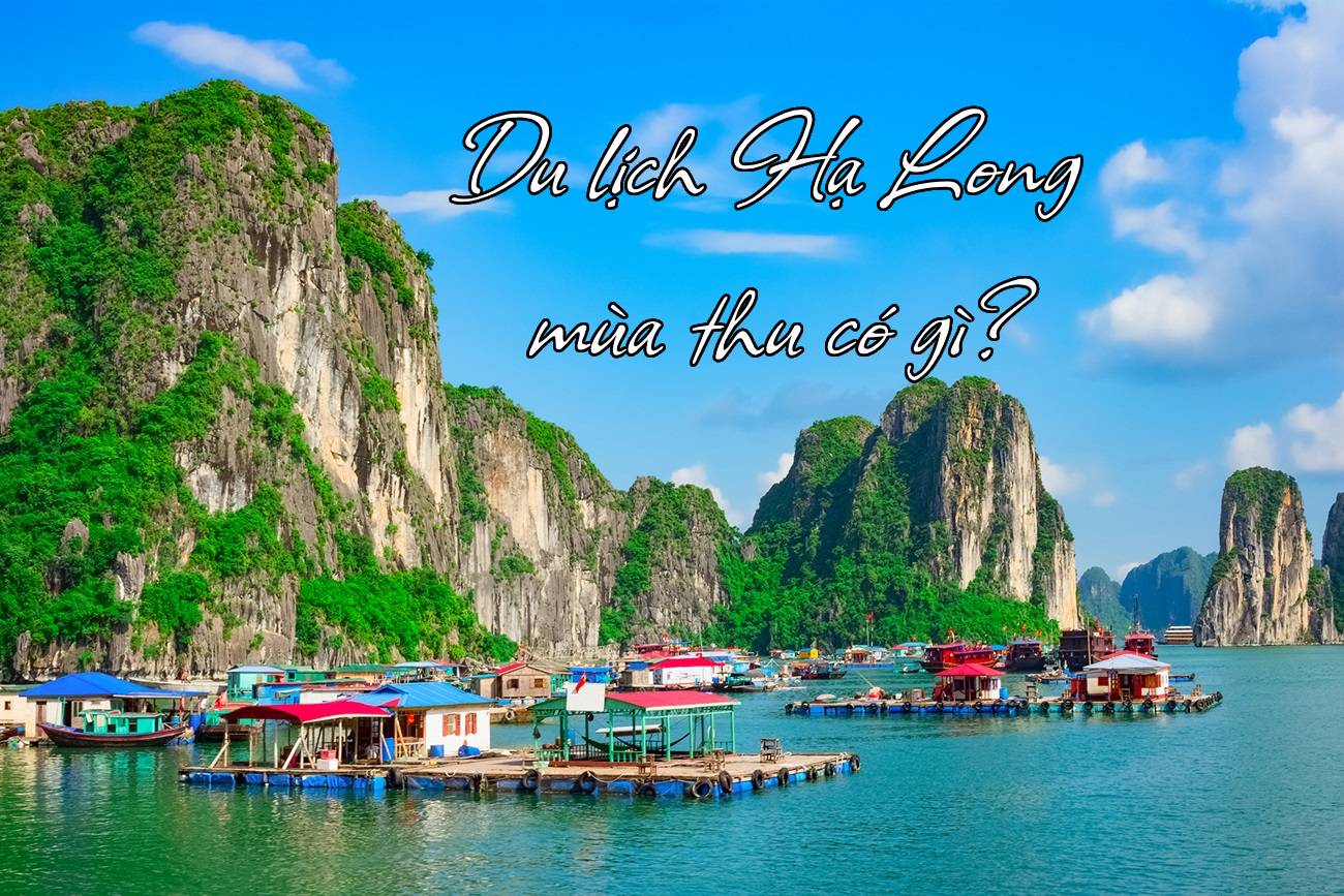 diem du lich ha long 2025
