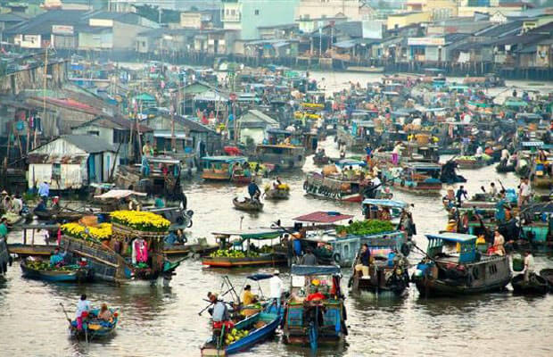 cho noi cai rang 2025