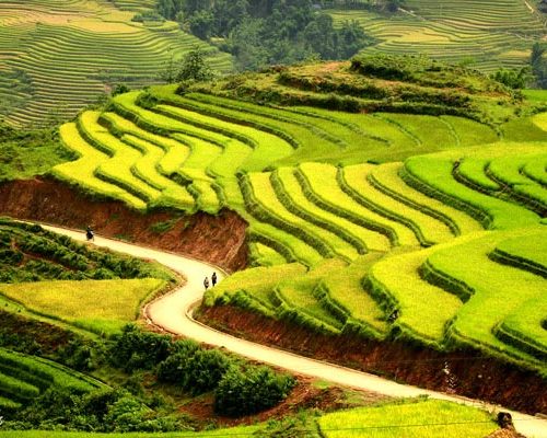 Khám Phá Những Địa Điểm Du Lịch Nổi Tiếng Việt Nam Hút Khách