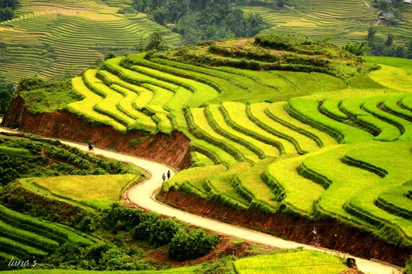 ve dep ruong bac thang sapa