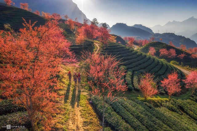 diem du lich sapa