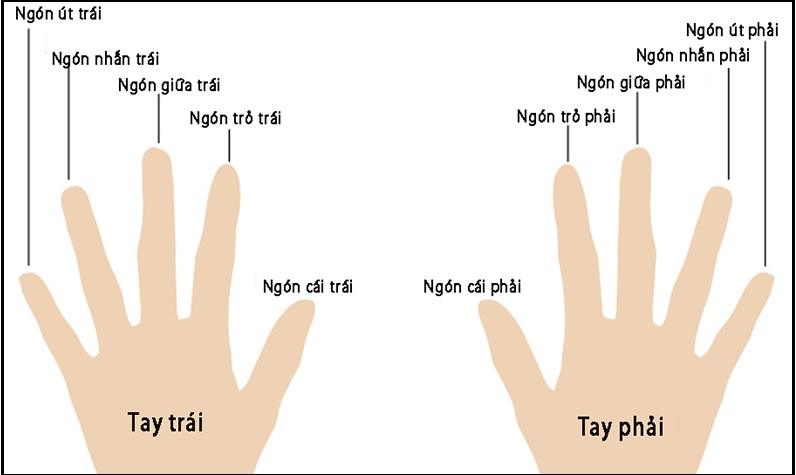 ngon tay deo nhan theo phong thuy