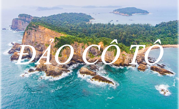 dao co to