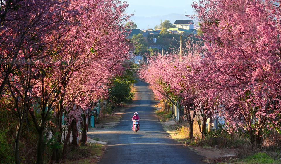 du lich da lat cuoi nam