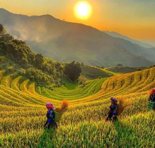 Địa Danh Đẹp Ở Việt Nam: Top Những Nơi Phải Đến Một Lần
