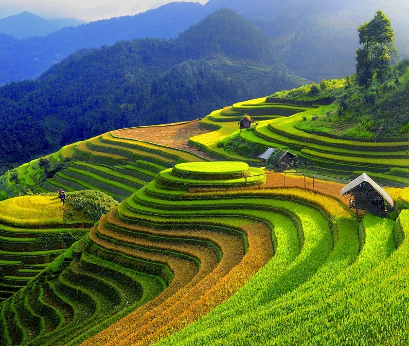 ruong bac thang mu cang chai
