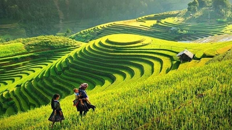 thung lung muong hoa