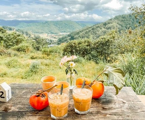 Top Điểm Du Lịch Việt Nam Đáng Trải Nghiệm Nhất