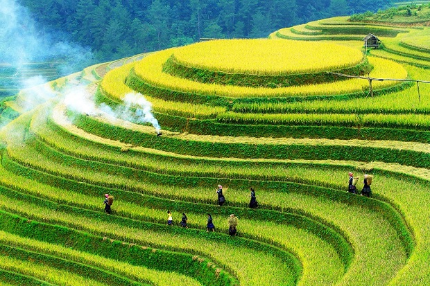 ruong bac thang mu cang chai