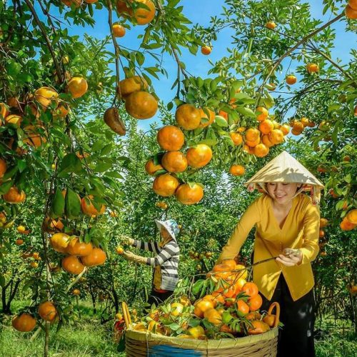 Địa Điểm Du Lịch Hấp Dẫn Ở Việt Nam Nên Trải Nghiệm Một Lần