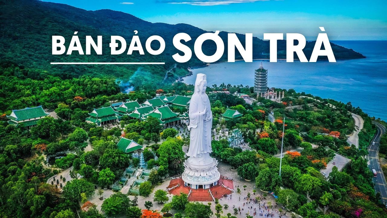 ban dao son tra 2026