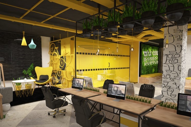 thiet ke showroom uy tin