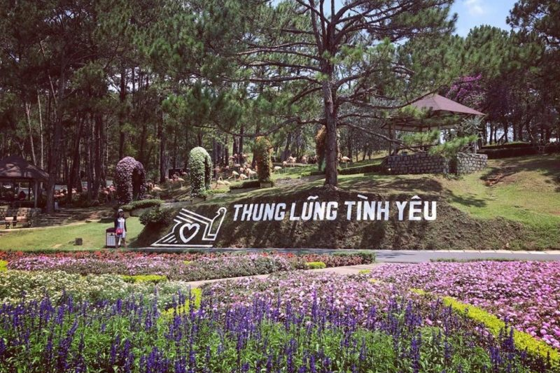 thung lung tinh yeu da lat mua xuan