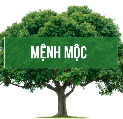 Mệnh Mộc Hợp Với Màu Nào? Ngũ Hành Phong Thủy Cho Năm 2026