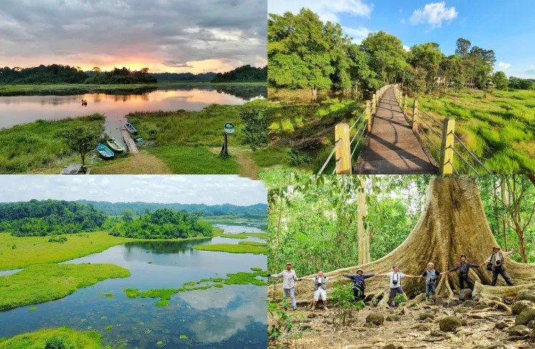 vuon quoc gia tai nam cat tien