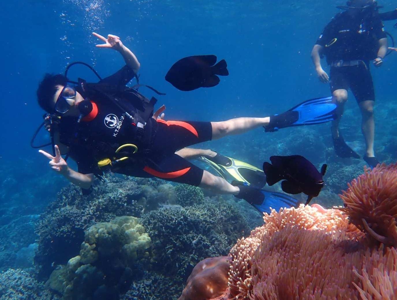 du lich o nha trang 2026