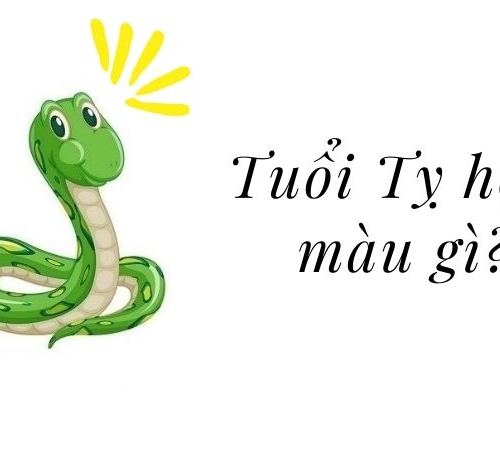 Tuổi Tỵ Hợp Màu Gì? Màu Sắc Mang Lại May Mắn Và Tài Lộc