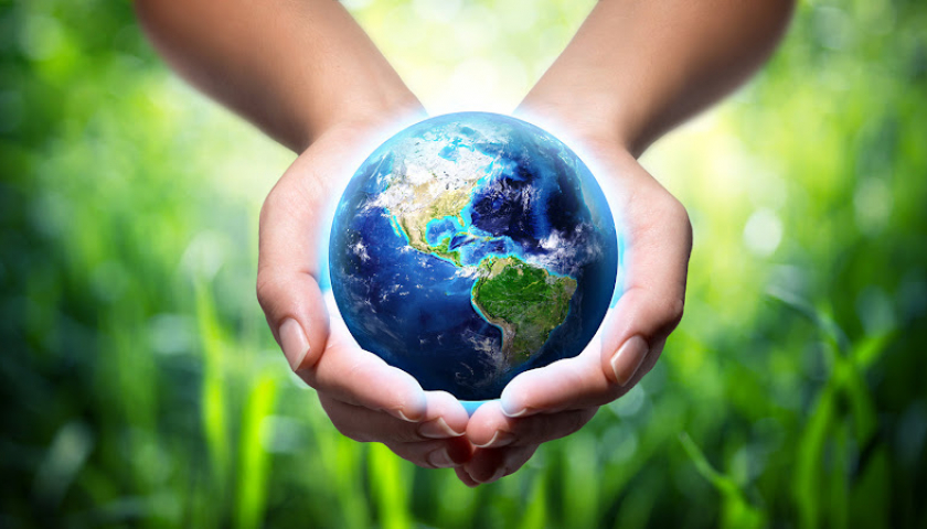 an chay tot cho moi truong