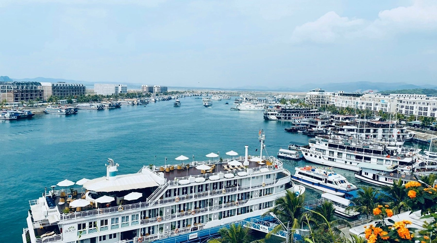 dao tuan chau ha long