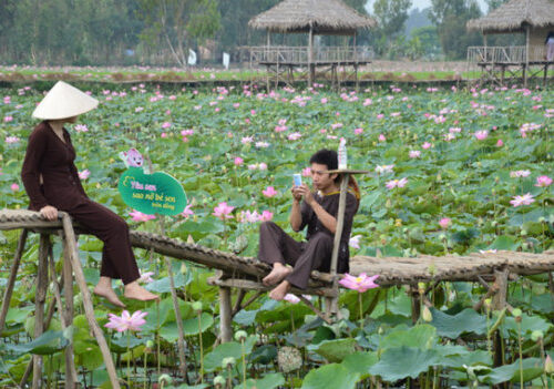 Địa Điểm Du Lịch Đẹp Nhất Việt Nam Không Thể Bỏ Qua Năm 2026