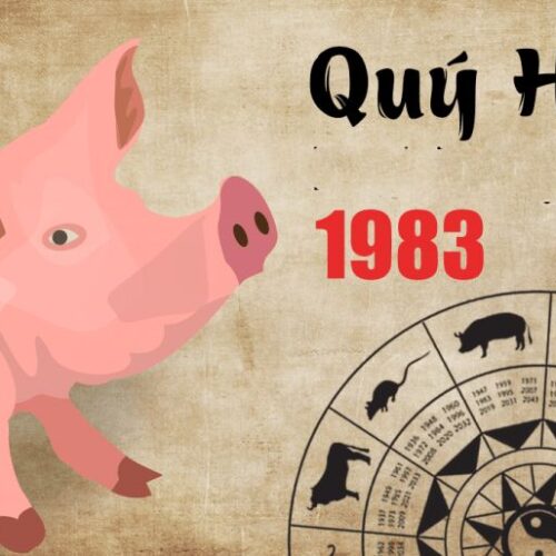 Phong Thủy 1983 Hợp Màu Nào? Bí Quyết Chọn Màu May Mắn