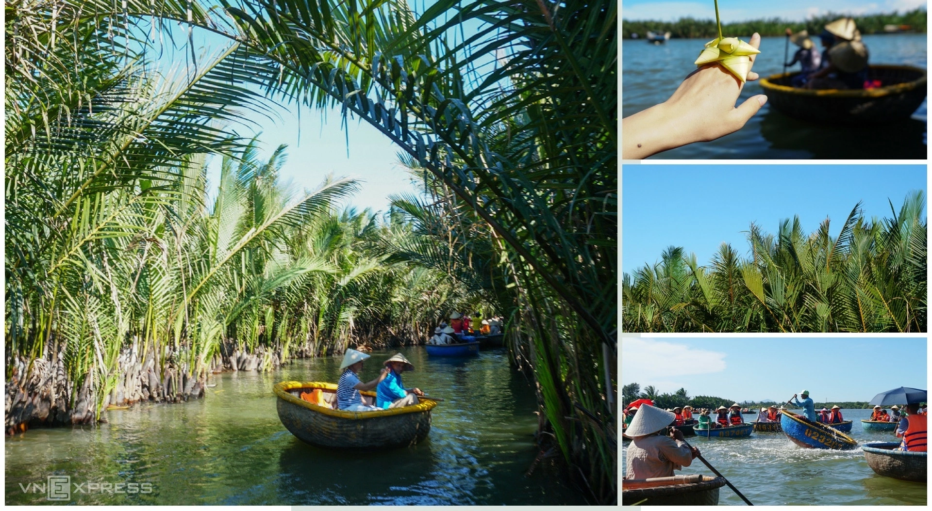 tham quan rung dua bay mau hoi an