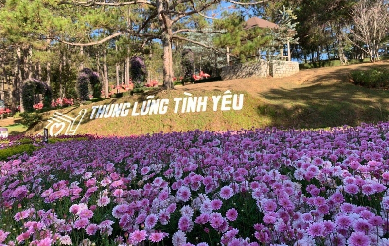 thung lung tinh yeu da lat