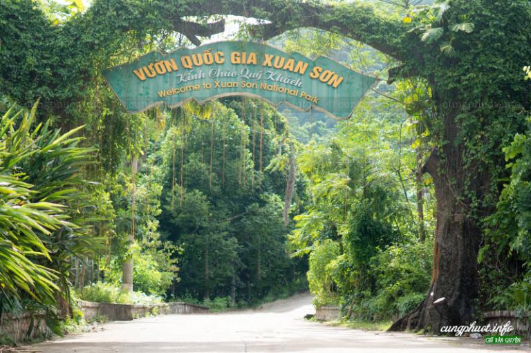 vuon quoc gia nam xuan son