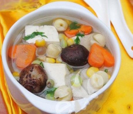 canh nam hat sen chay