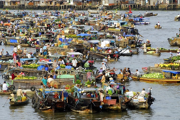 cho noi cai rang