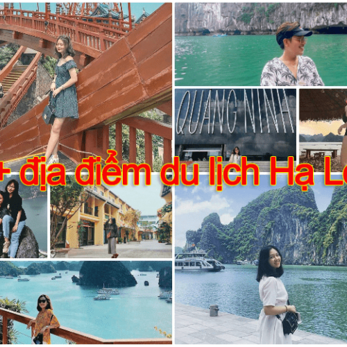 Địa Điểm Đẹp Ở Hạ Long 2026 Điểm Sống Ảo Đẹp Nhất Việt Nam