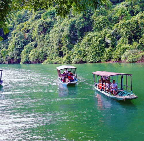 Top 7 Điểm Du Lịch Sinh Thái Việt Nam Đáng Trải Nghiệm