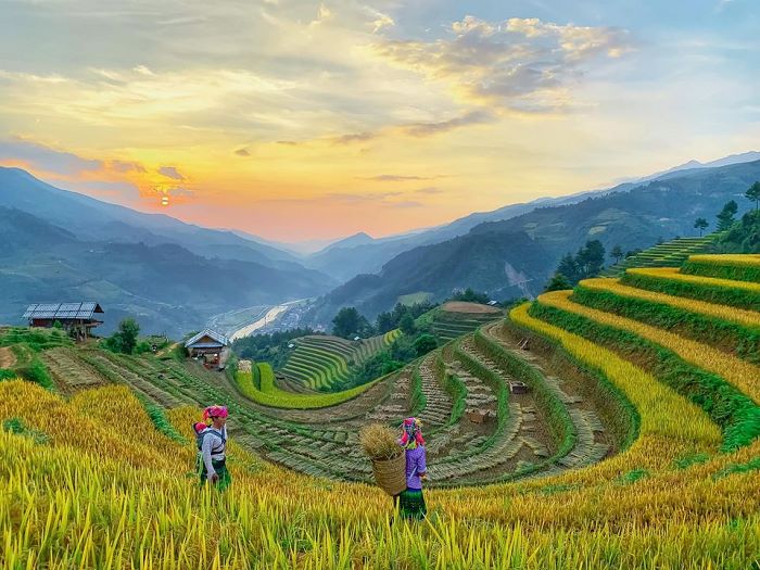 hoang su phi