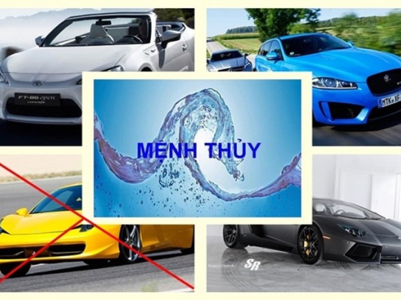 mau xe menh thuy